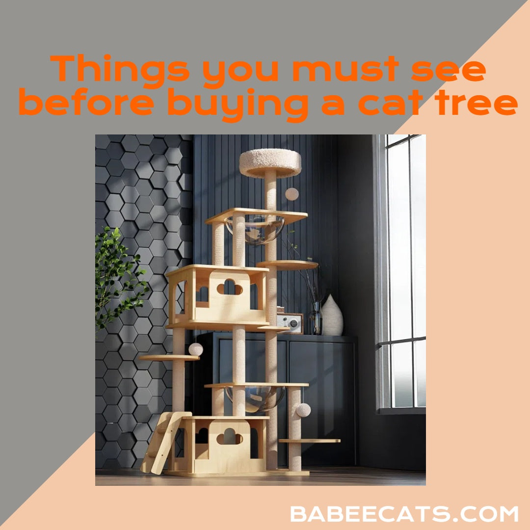 Things you must see before buying a cat tree