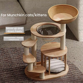 BABEECATS Luxury Cat Tree For Munchkin/Kitten