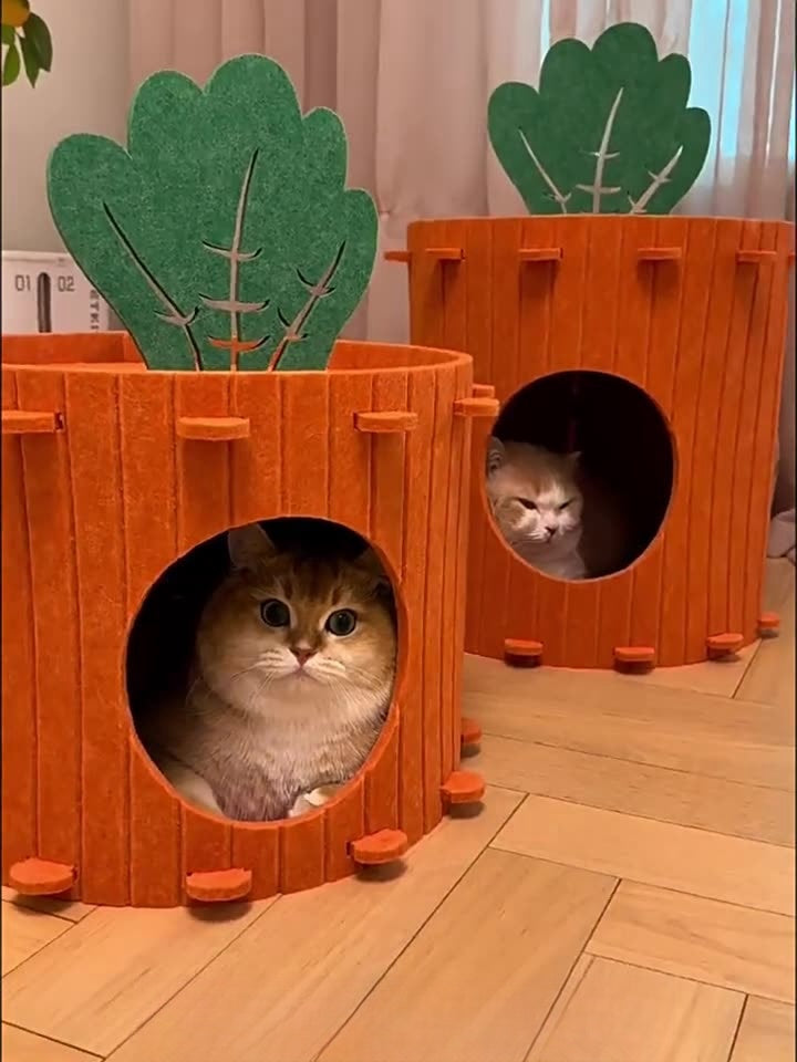 BABEECATS Carrot Felt Cat Nest