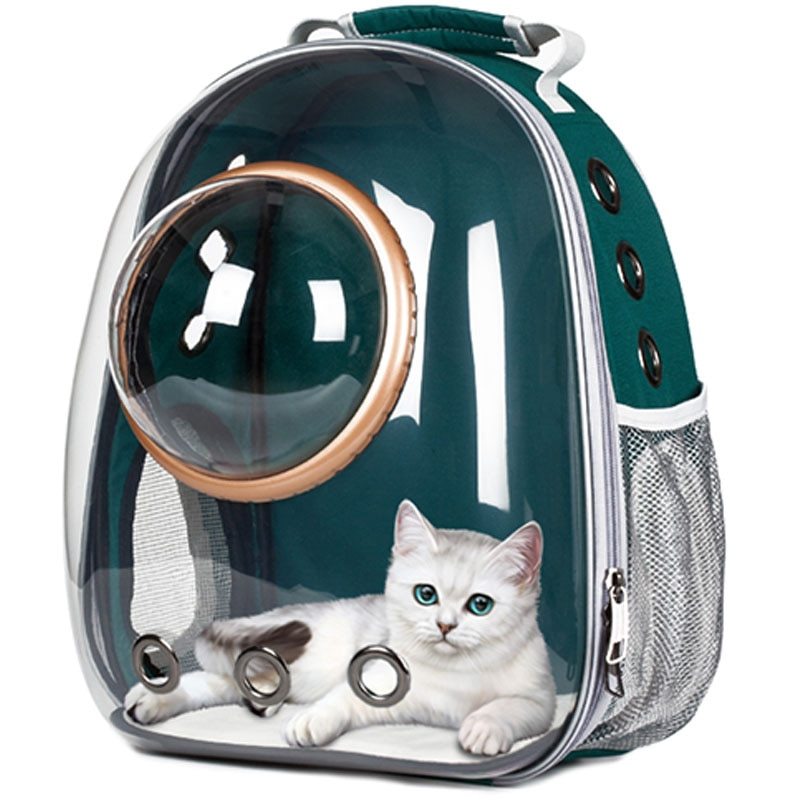 Transparent Cat Bag