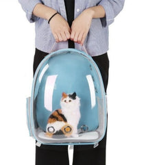 Transparent Cat Bag