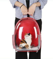 Transparent Cat Bag