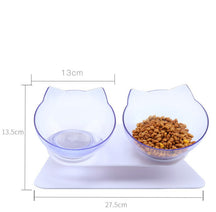 Transparent Beveled Pet Bowl