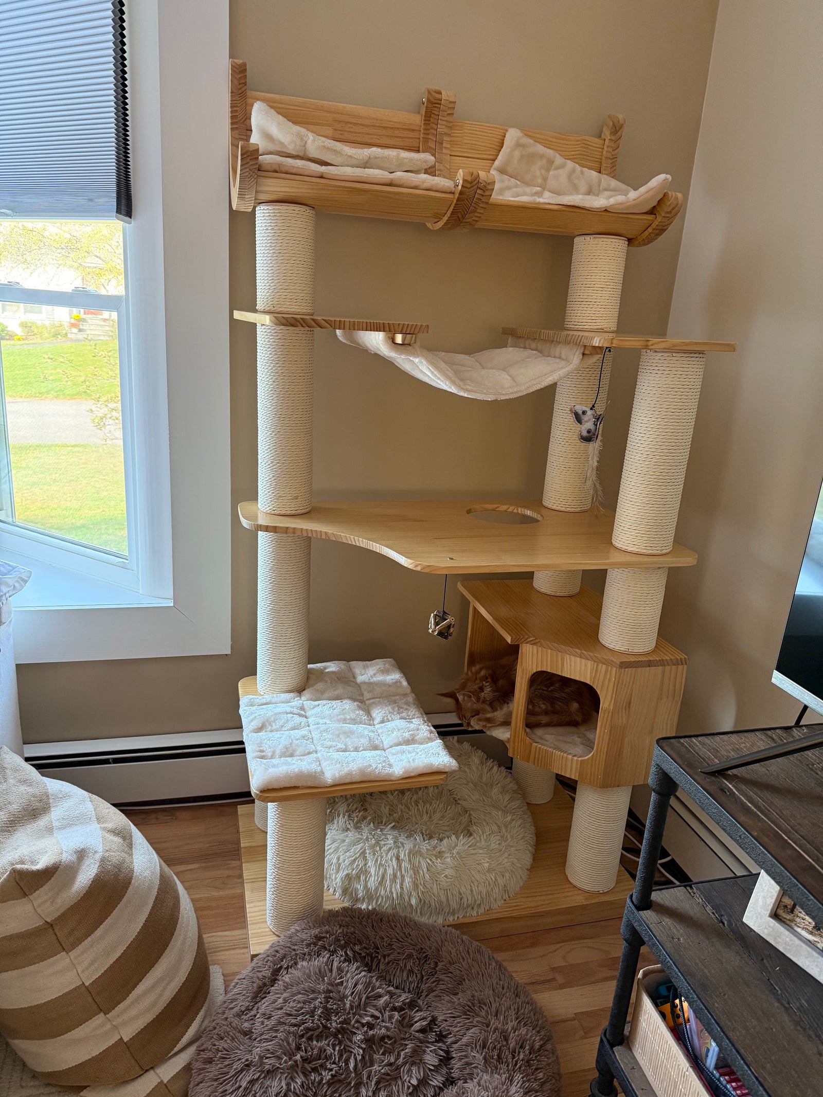 customer home photo with babeecats time tower cat tree and tabby cat