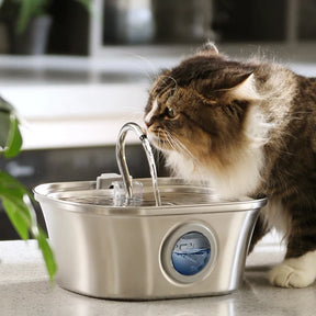 3.2L  Cat Water Fountain ,Steel-Automatic