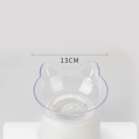 Transparent Beveled Pet Bowl