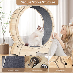 Cat Exercise Wheel for Indoor Cats, with Carpeted Runway 37" Natural Wood Color