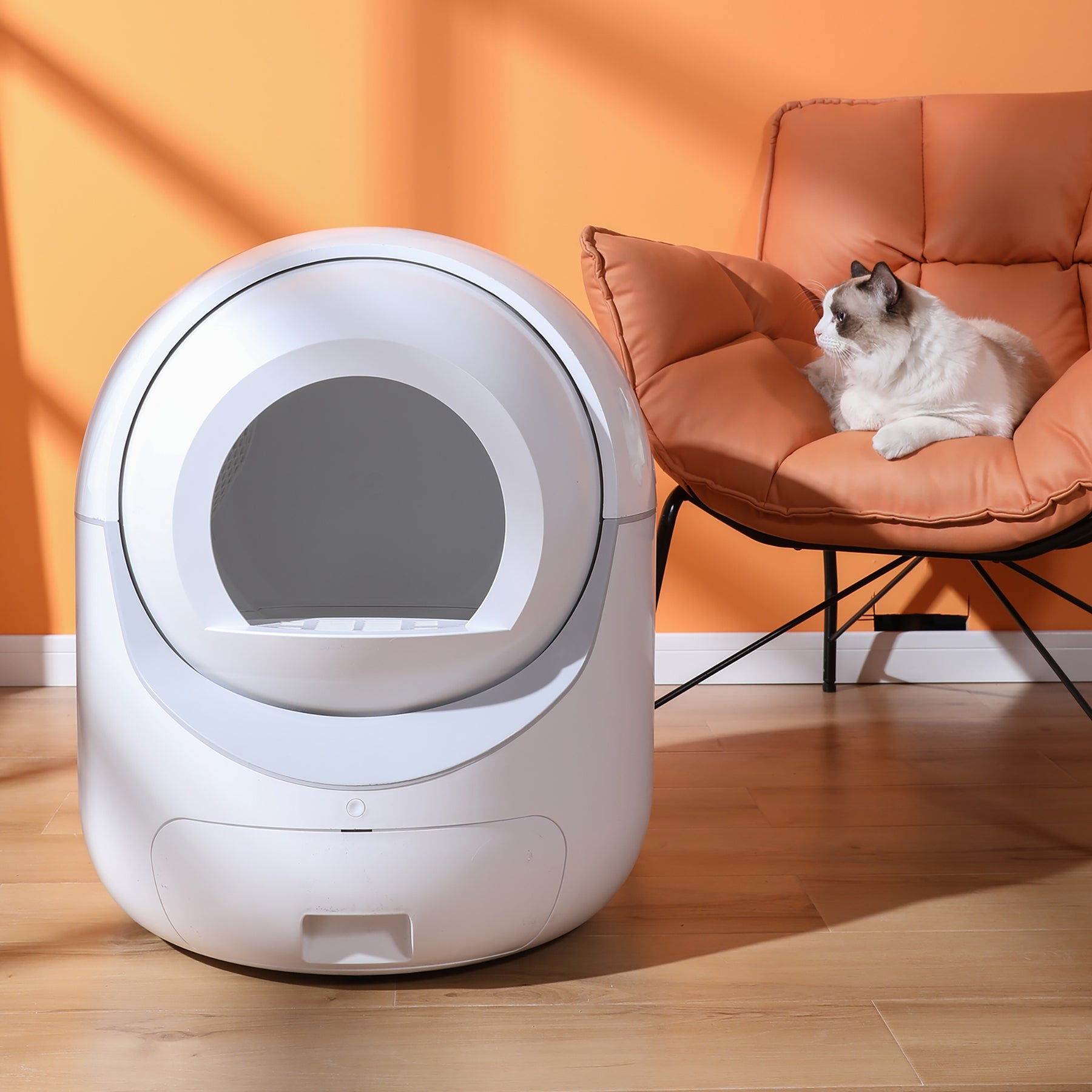 Intelligent Cat LitterBox, Automatically Eliminates Odors, App Control