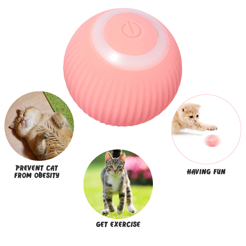 BABEECATS Gravitational Intelligent Rolling Ball Cat Ball