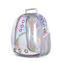 Transparent Cat Bag