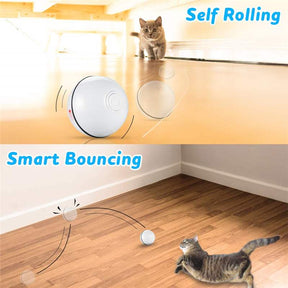 BABEECATS Smart Interactive Pet Toy Ball