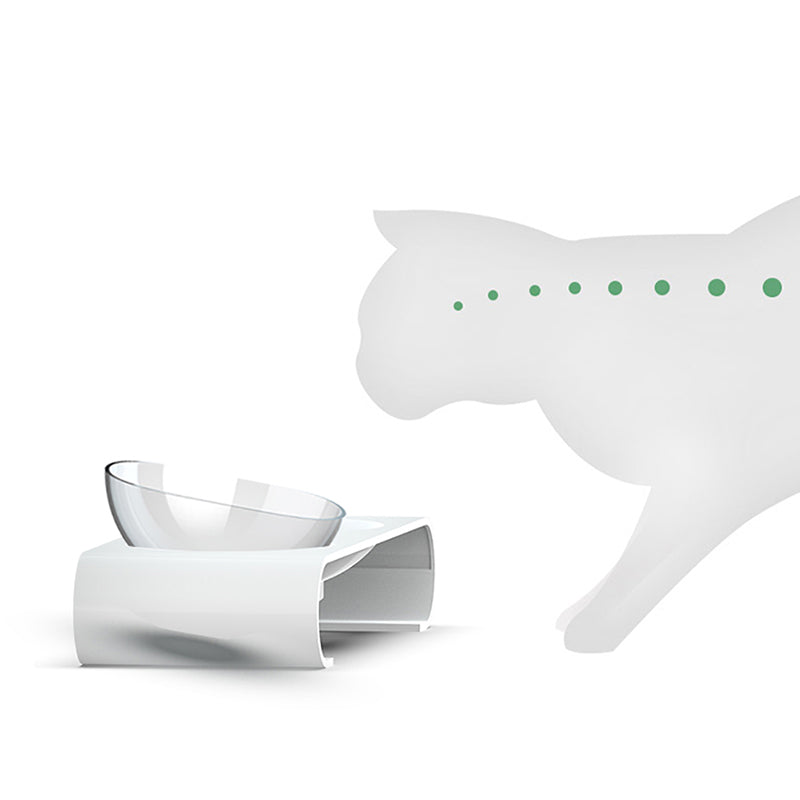 Cat Double Bowls,Transparent Bowl With Base Stand