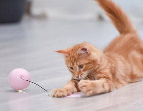 BABEECATS Automatic Cat Smart Toy Ball