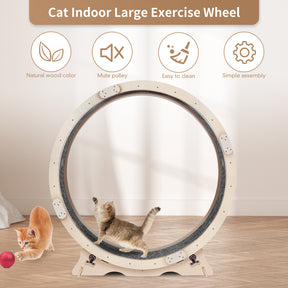 BABEECATS Cat Exercise Wheel , Cat Running Wheel with Carpeted Runway,