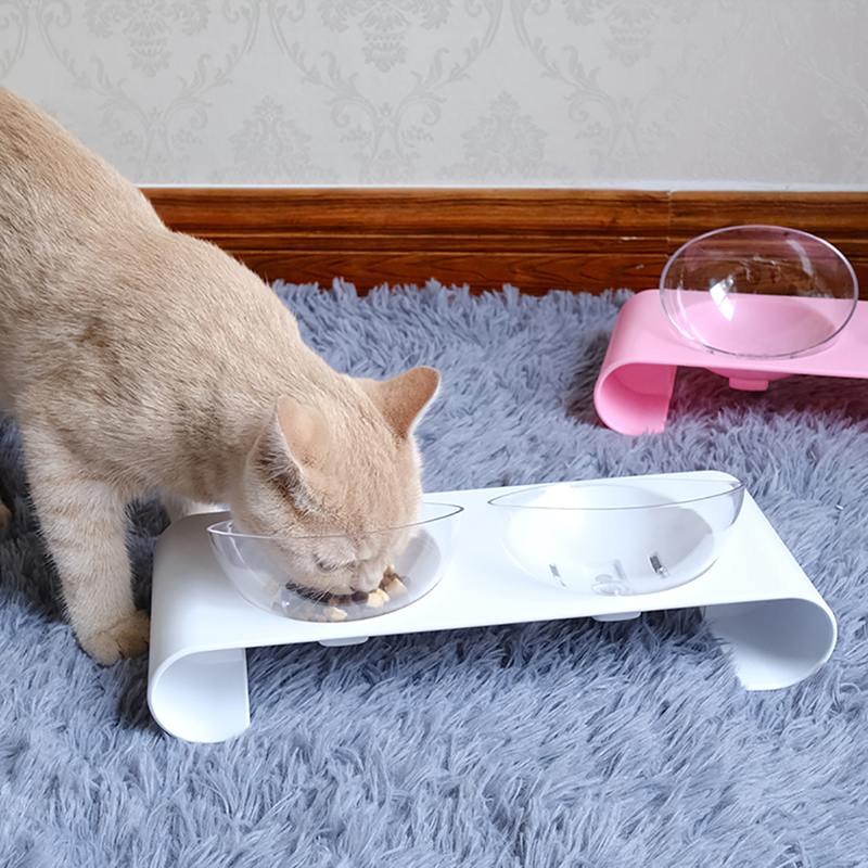 Cat Double Bowls,Transparent Bowl With Base Stand