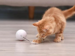 BABEECATS Automatic Cat Smart Toy Ball