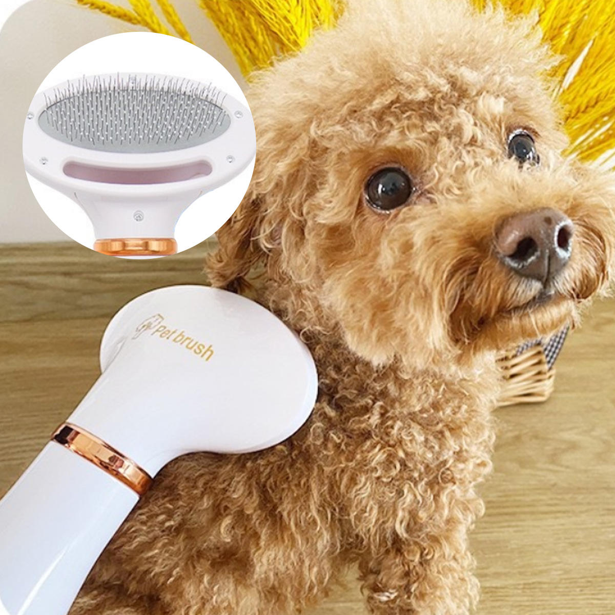 Two-In-One Pet Hot Air Comb,  Hair Dryer Pet Brush Comb