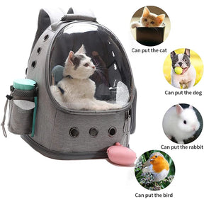 Cat Backpack ,Fashion-Transparent-Breathable-Folding Pet Bag