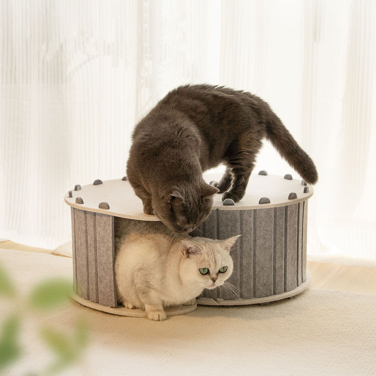 BABEECATS  “CC"Felt Cat House，”S“ Tunnel,Portable&Detachable,Scratching & Sleeping