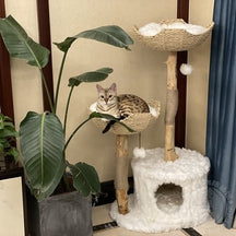 BABEECATS  Flower Cat Tree