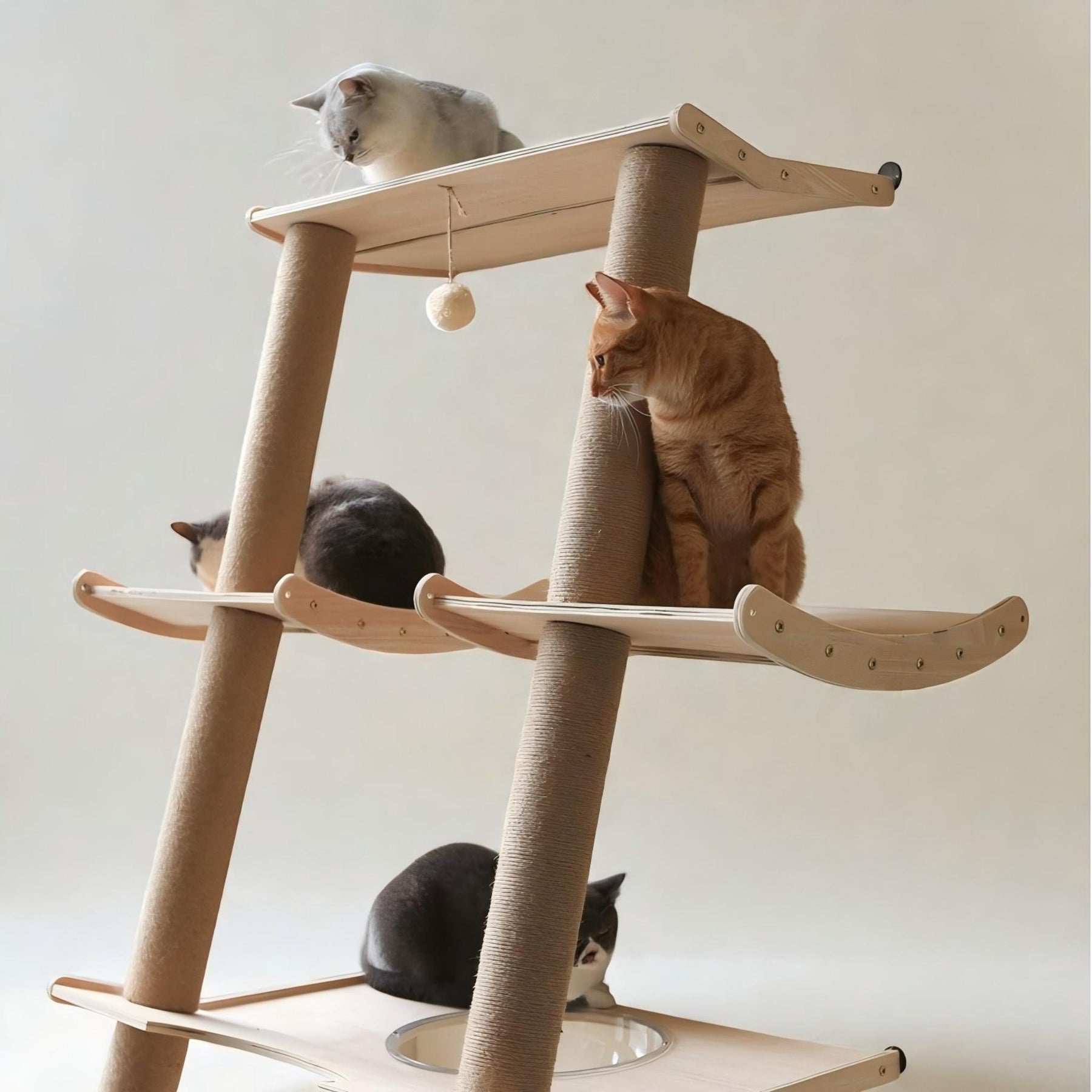 Cat climbing and resting on BABEECATS Leaning Tower cat tree