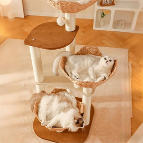 Cat resting comfortably in woven rattan basket on BABEECATS solid wood cat tree