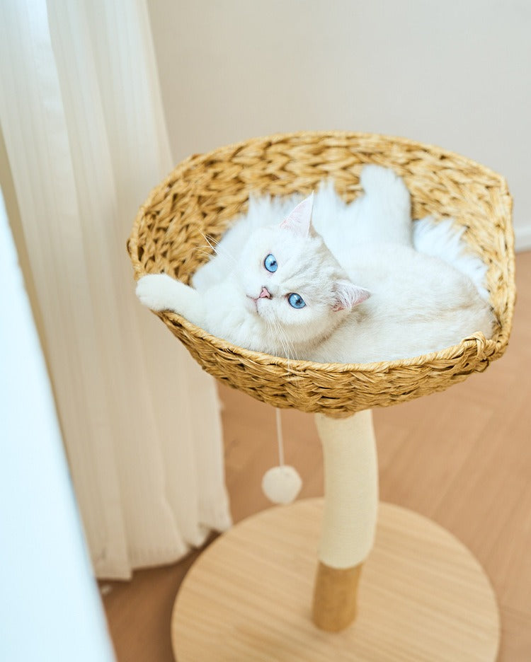 BABEECATS Single Rattan Nest Cat Tree