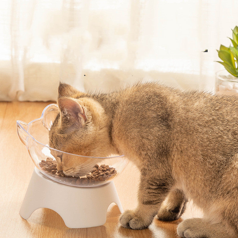 Transparent Beveled Pet Bowl