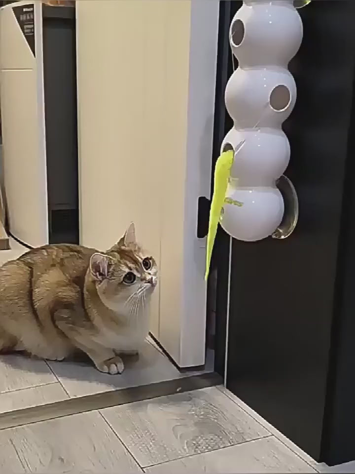 BABEECATS Caterpillar Automatic Cat Teaser Toy ，Inductive Start-Stop, Rechargeable Model