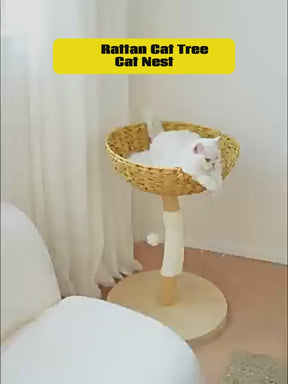 BABEECATS Single Rattan Nest Cat Tree